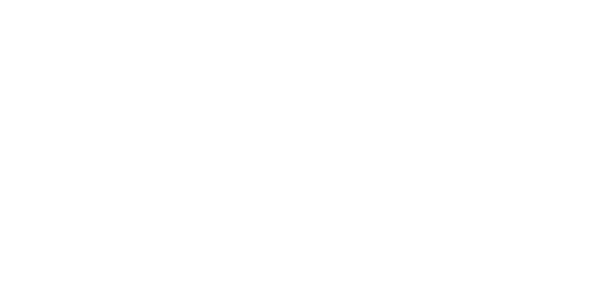 골드넷 솔루션 logo